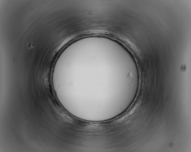 X0000102251162200807250854