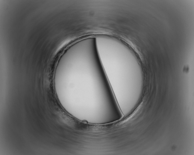 X0000102251163200807250854