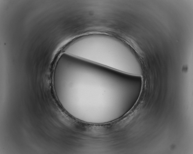 X0000102251164200807250854