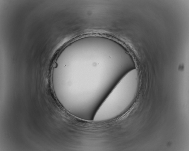 X0000102251165200807250854