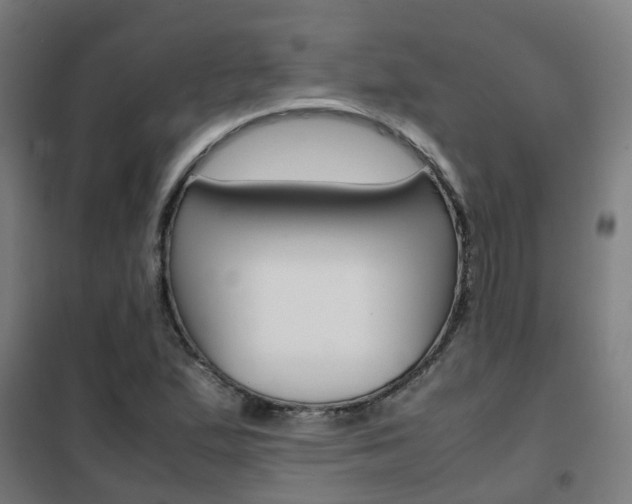 X0000102251167200807250854