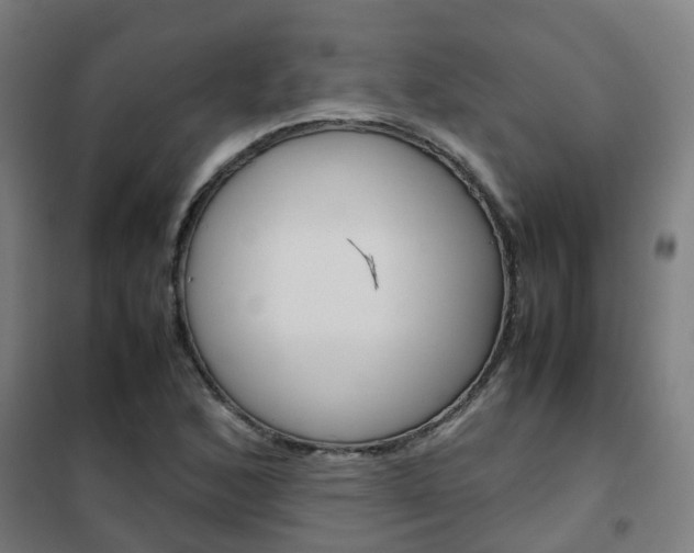 X0000102251168200807250854