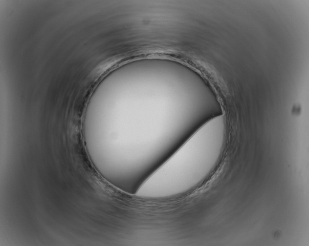 X0000102251169200807250854