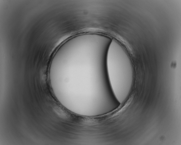 X0000102251170200807250854