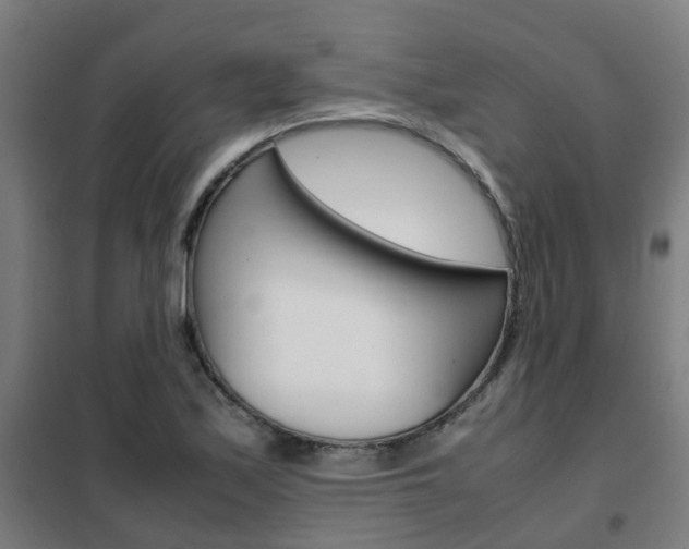 X0000102251171200807250854