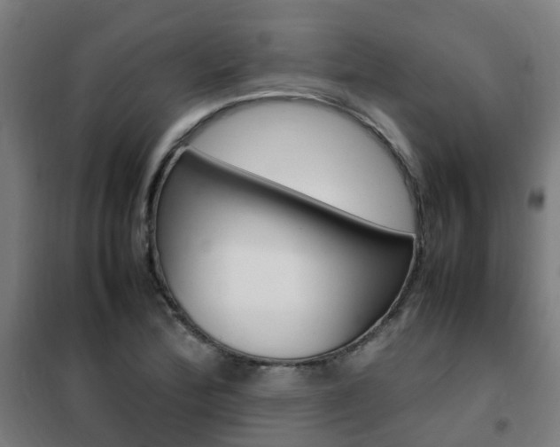 X0000102251172200807250854