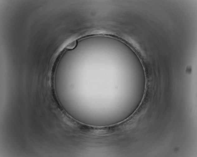 X0000102251173200807250854