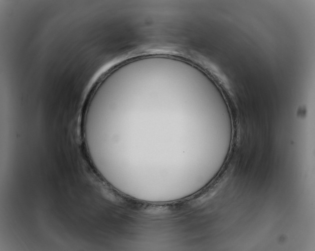 X0000102251174200807250854