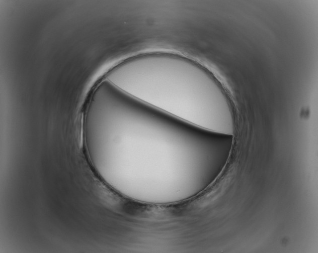 X0000102251175200807250854