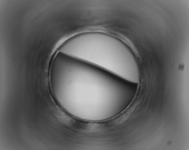 X0000102251176200807250854