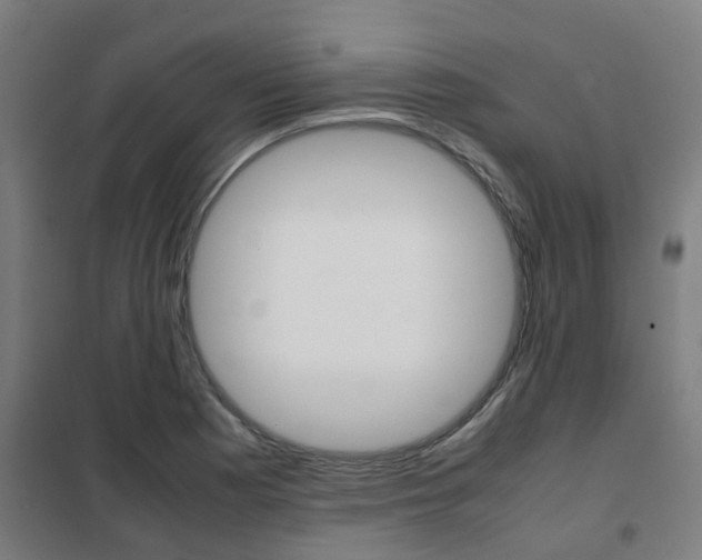 X0000102251177200807250854