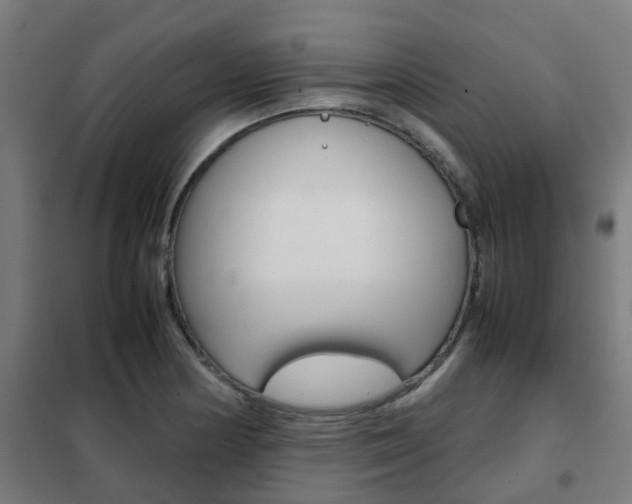 X0000102251178200807250854