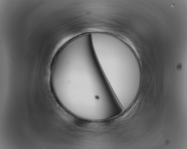 X0000102251179200807250854