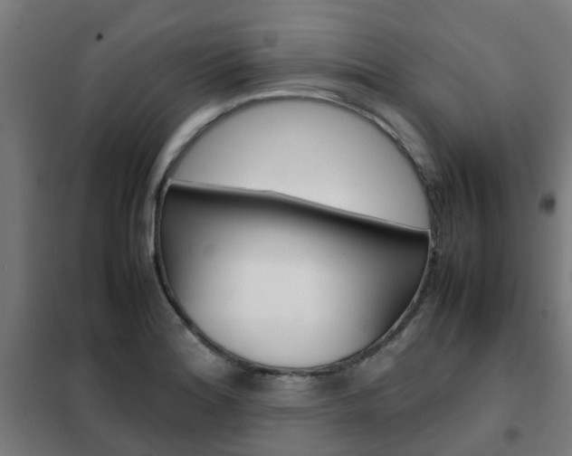 X0000102251180200807250854