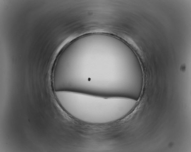 X0000102251181200807250854