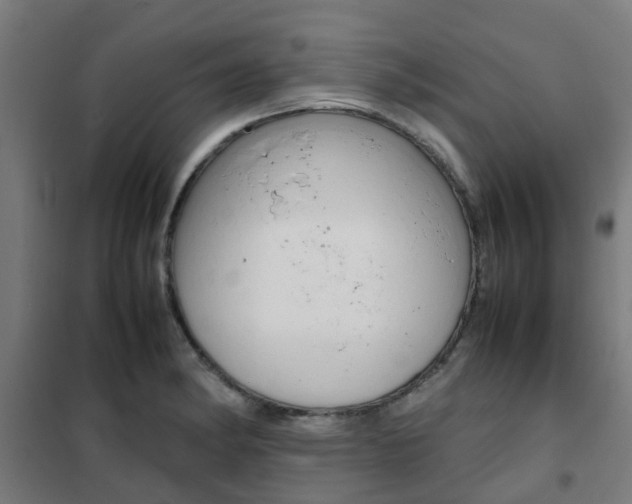 X0000102251182200807250854