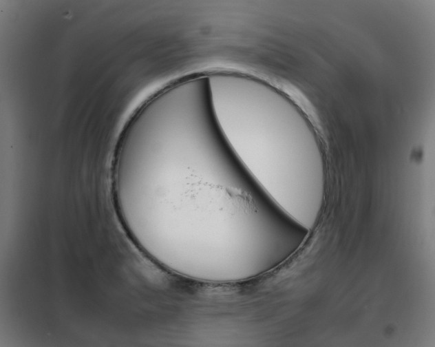 X0000102251183200807250854