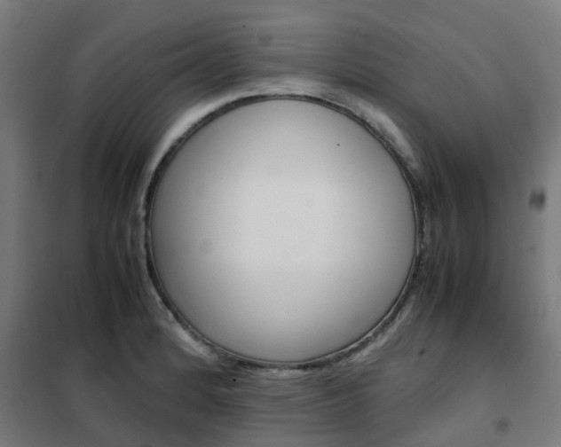 X0000102251184200807250854