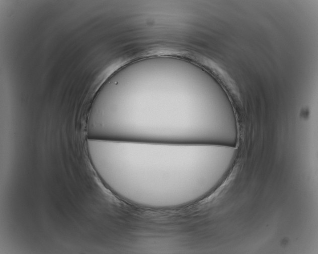 X0000102251185200807250854