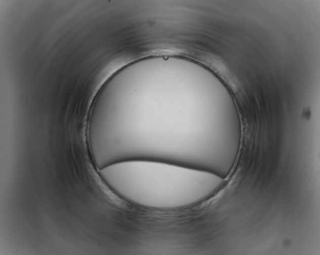 X0000102251186200807250854