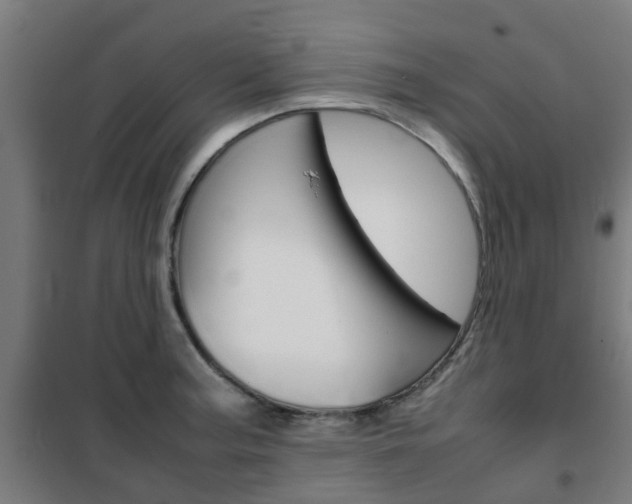X0000102251187200807250854