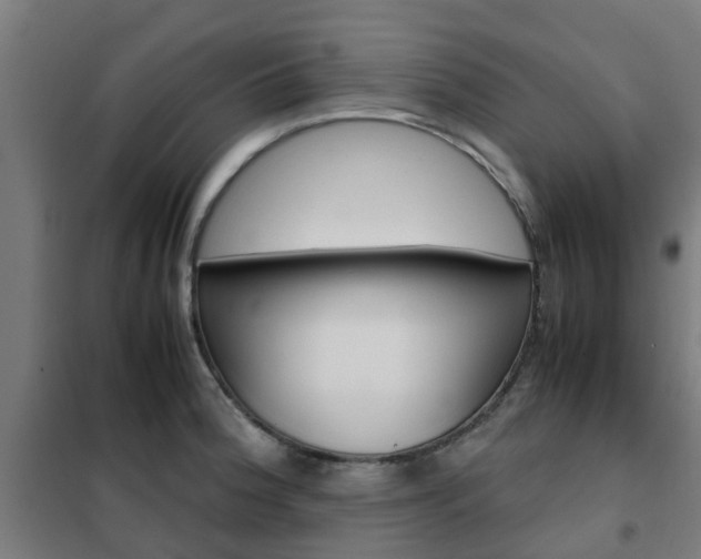 X0000102251188200807250854