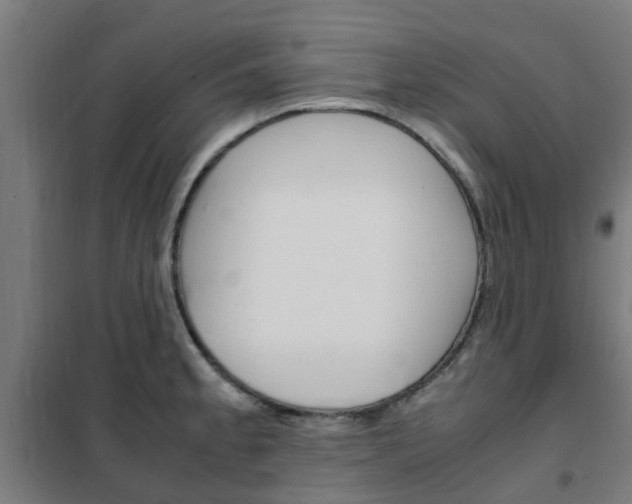 X0000102251189200807250854