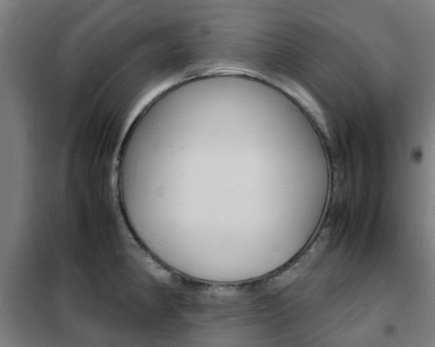 X0000102251190200807250854