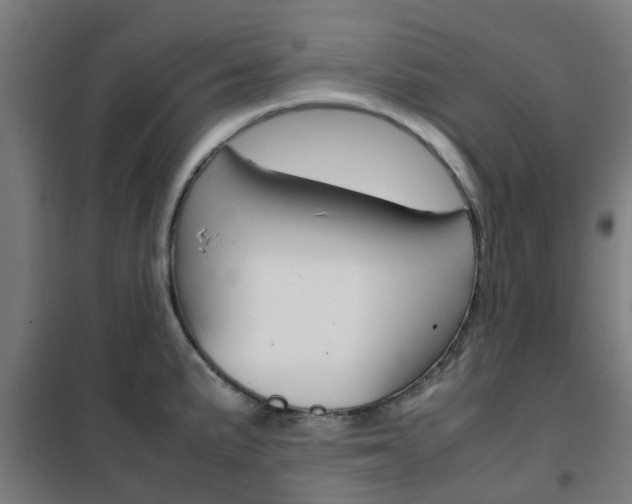 X0000102251191200807250854