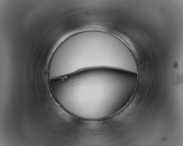 X0000102251192200807250854