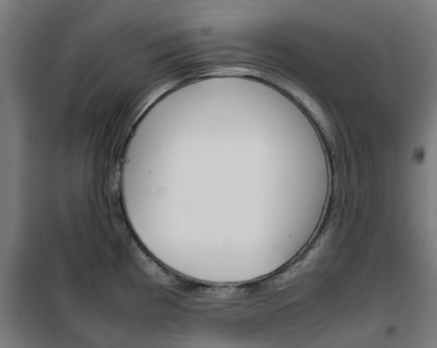 X0000102251193200807250854