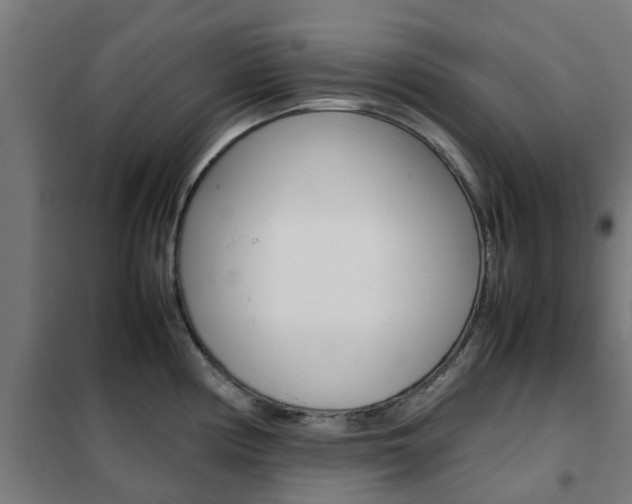 X0000102251194200807250854