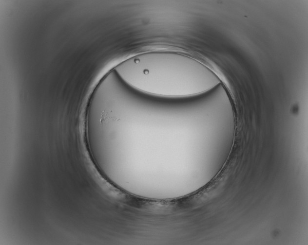 X0000102251195200807250854