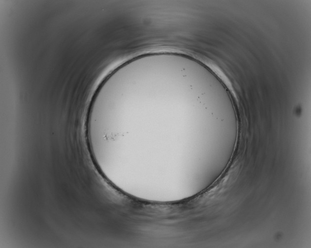 X0000102251197200807250854