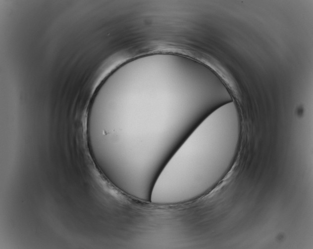 X0000102251198200807250854