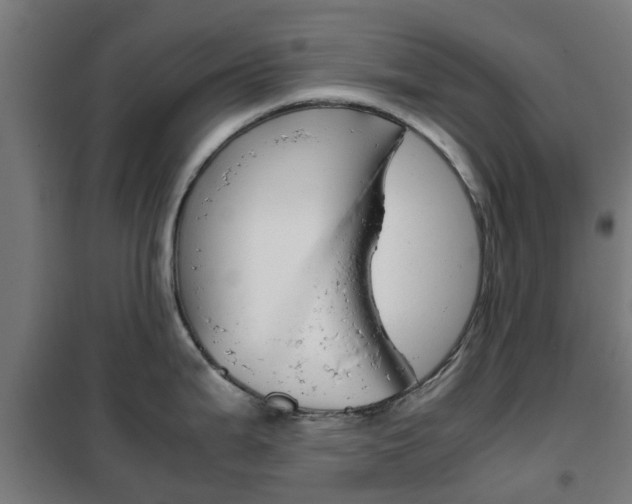 X0000102251199200807250854