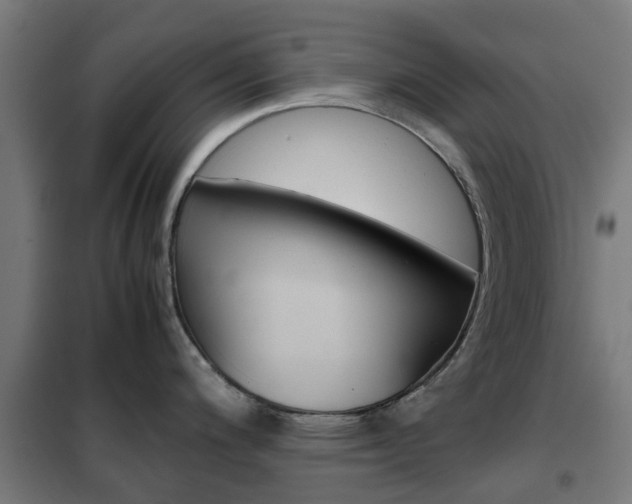 X0000102251200200807250854