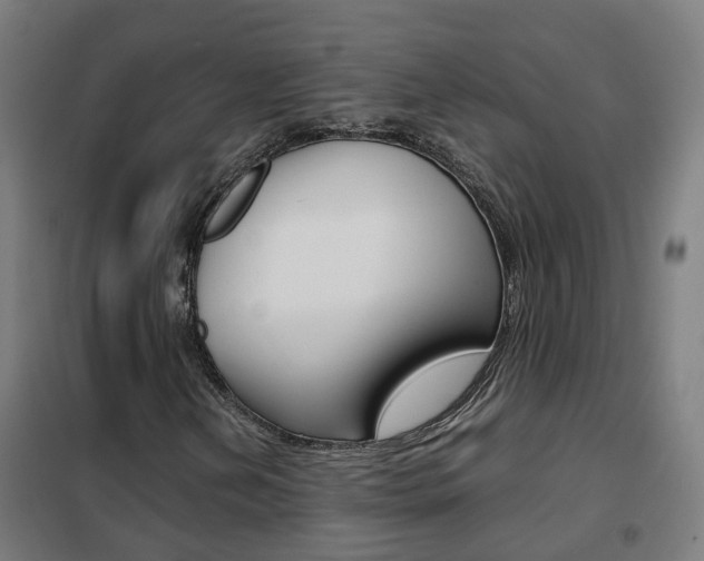 X0000102251202200807250853