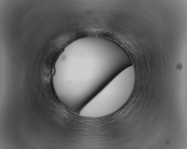 X0000102251204200807250853