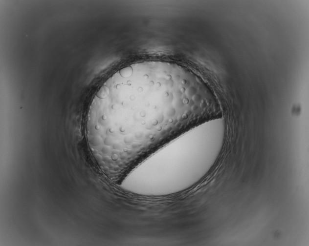 X0000102251205200807250853