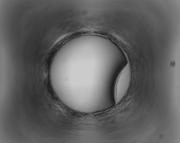 X0000102251206200807250853