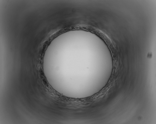 X0000102251207200807250853
