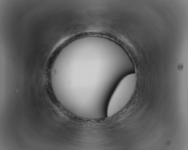 X0000102251208200807250853