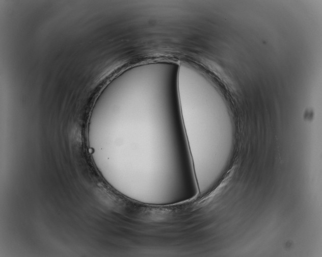 X0000102251209200807250853