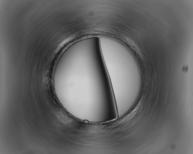 X0000102251210200807250853