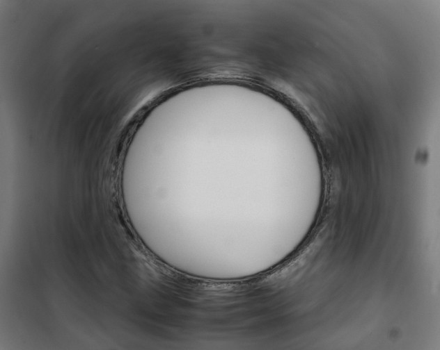 X0000102251211200807250853