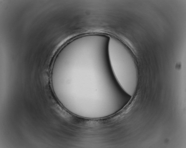 X0000102251212200807250853