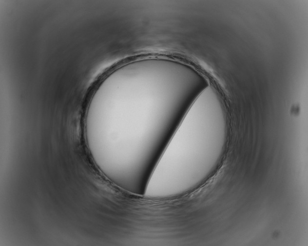 X0000102251214200807250853