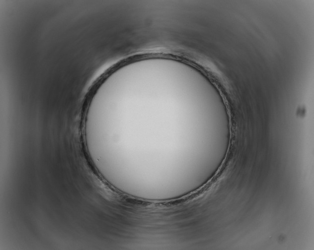 X0000102251216200807250853