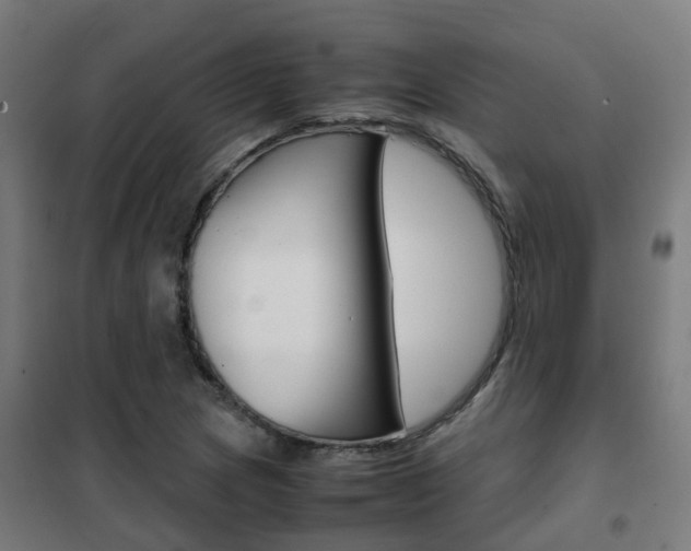 X0000102251217200807250853